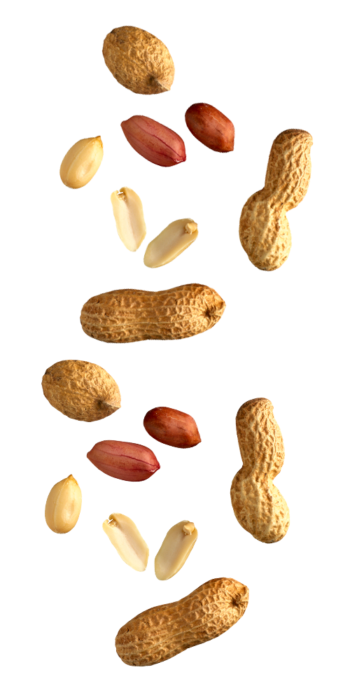 https://horalei.com/wp-content/uploads/2022/09/500X1000MANI.png