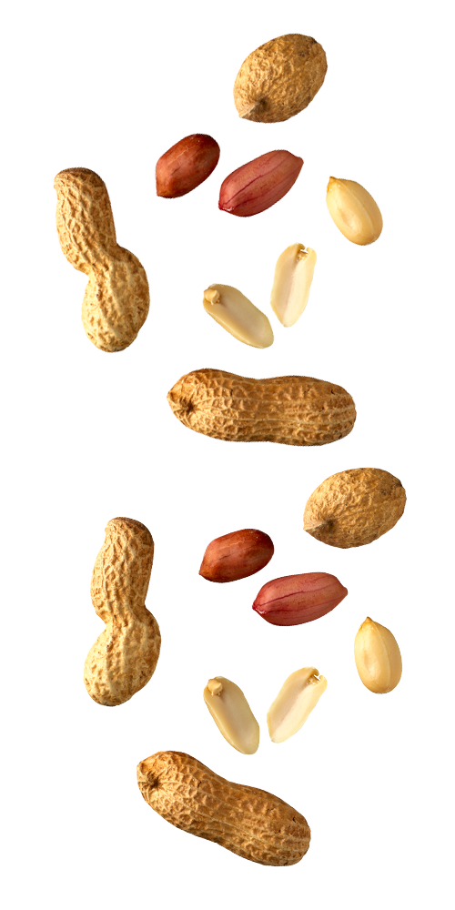https://horalei.com/wp-content/uploads/2022/09/MANI-VOLTEADO.png